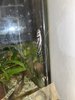 IMG_0265.jpeg