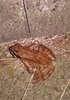 IMG_20241002_003051~2.jpg