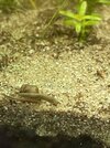IMG_5163.jpeg