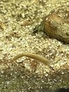 IMG_5167.jpeg