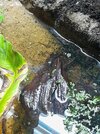 20260219_182558.jpg
