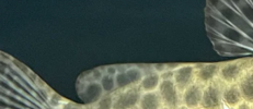 1773224213514.png