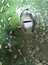 IMG_3028.jpeg