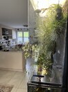 IMG_2239.jpeg