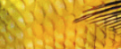1776151558427.png