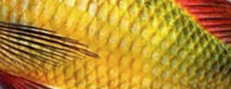 1776173551047.png