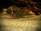 IMG_1297.jpeg IMG_1297.jpeg