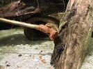 IMG_7347.jpeg