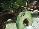 IMG_7345.jpeg