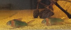 IMG_1378.jpeg IMG_1378.jpeg