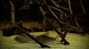 IMG_1586.jpeg IMG_1586.jpeg