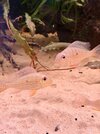 IMG_0711.jpeg