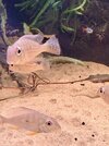 IMG_0710.jpeg