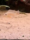 IMG_0708.jpeg