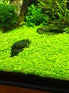 20260625_152608.jpg