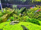 20260605_173128.jpg
