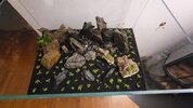 20260204_000551.jpg