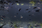 Screenshot 2026-07-08 at 12.26.01.png