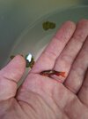 20260724_151158.jpg