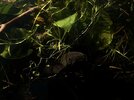 IMG_4607.jpeg
