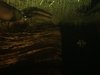 E230B3D3-94A6-45CD-9082-BF852D27DFC1.jpeg E230B3D3-94A6-45CD-9082-BF852D27DFC1.jpeg