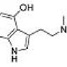 Aspergillus