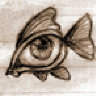 fish.eye
