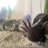 nathi_041