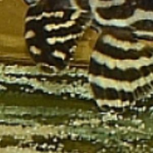 4BCC472F-A464-4212-9EB0-2E7CE165E096