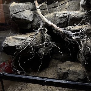 3D Rückwand Felsenterrarium