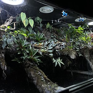 Paludarium